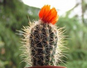Kötü Huy ve Davranışlarımız