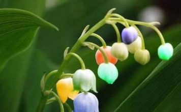 Değer, Değerler Eğitiminin Önemi ve Gereği