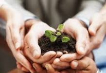 Mutlu Evlilik İçin Dikkat Edilmesi Gereken Hususlar